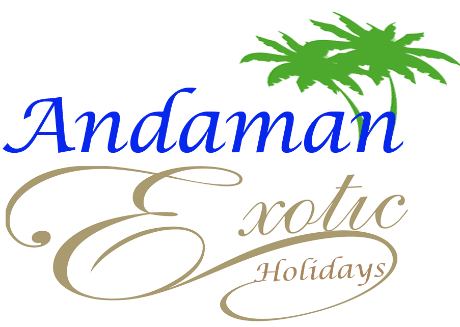 Welcome to ANDAMAN EXOTIC HOLIDAYS, | Slot Phoenix Graveyard By Elk Studios Demo Free Play - Welcome to ANDAMAN EXOTIC HOLIDAYS,